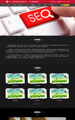 商城系統_網站制作_小程序開發_1580元全包