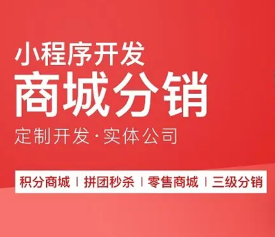 濰坊地區(qū)綜合類電商購物商城開發(fā)定制