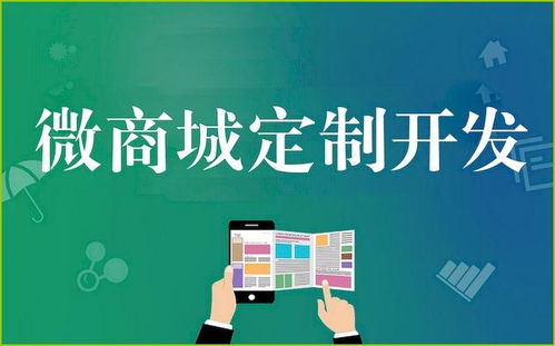 鄭州中原區(qū)商城版小程序的定制開發(fā)